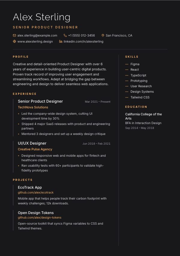 Noir resume template preview
