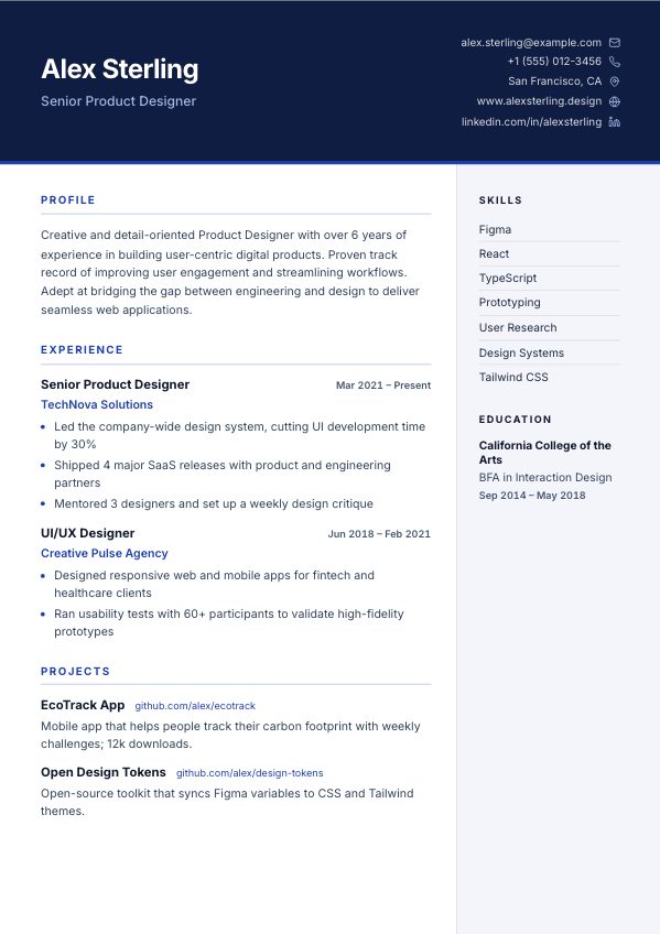 Professional resume template preview